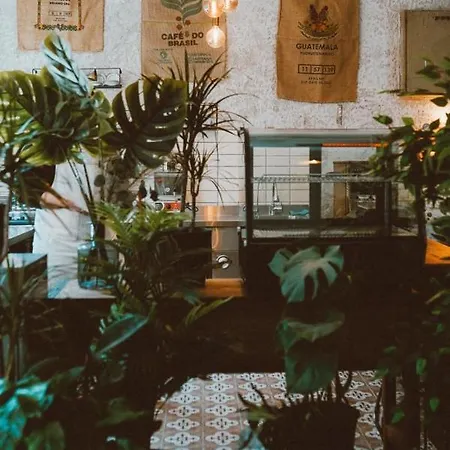 Koza Coffee & Chill *