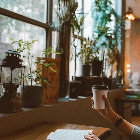 Koza Coffee & Chill Cekirge