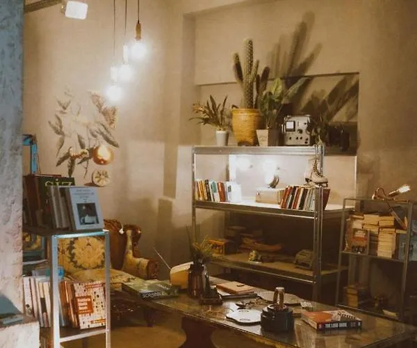 Koza Coffee & Chill Cekirge