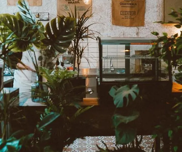 Koza Coffee & Chill *