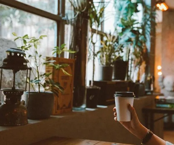 Koza Coffee & Chill Cekirge